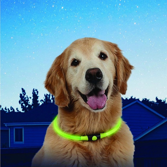 Nitehowl Led Safety dog collar - Picture 2 of 5
